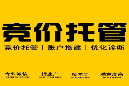 某SEM外包公司成功案例分享：ROI大幅提升